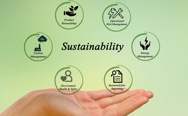 Sustainability: Shaping a Resilient Future